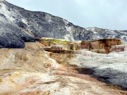 Mammoth Hot Springs Yellowstone National Park USA